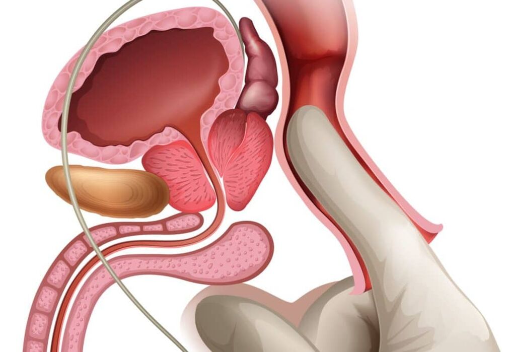 Masaža prostate